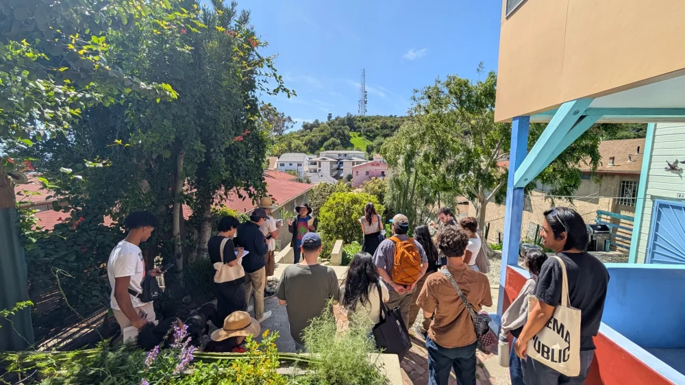 Urban planning students on a tour of the Solano Canyon neighborhoods observing fire hazards, overgrown grasses and invasive eucalyptus trees.|UCLA urban planning students explore Solano Canyon during a field visit for a class studying wildfire resilience and community planning.