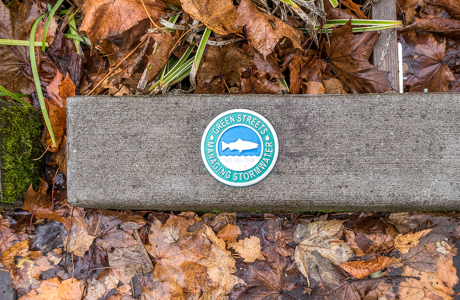stormwater management logo