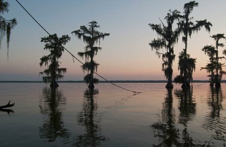 Trees are submerged in water at sunset after flooding of Lake Verret in Louisiana in 2017.