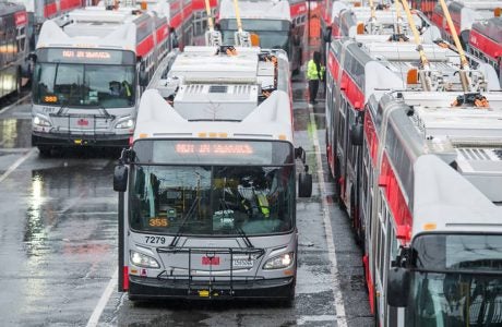 Image of buses.