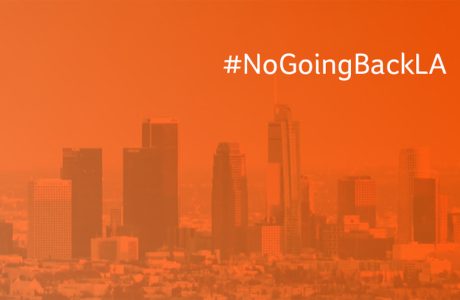 NGB-image