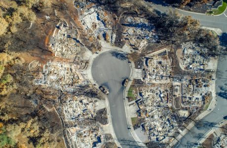Neighborhood destroyed by wildfire.