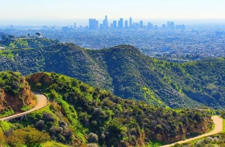 A hilltop view of Griffith Observatory and the downtown Los Angeles skyline. (Ekaterina Chizhevskaya)