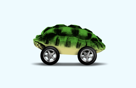 Turtle on wheels