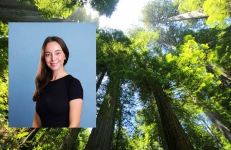 Headshot of student Margaret Saunders who is a masters in public policy student in front of a photo of redwood trees|Headshot of student Margaret Saunders who is a masters in public policy student in front of a photo of redwood trees