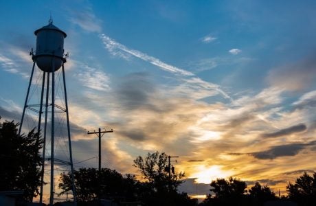 water tower rises over trees with sun just over the horizon in the distance