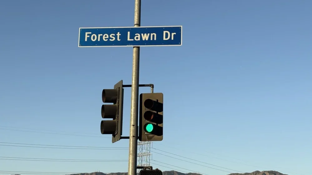 Photo of traffic light with the street sign "Forest Lawn Drive" on it.