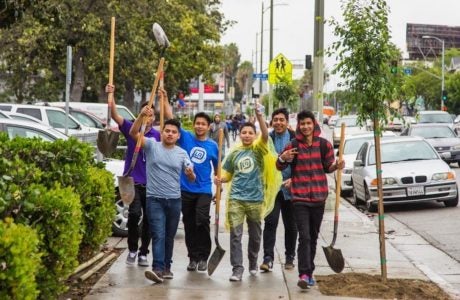 team of tree-planting volunteers with shovels